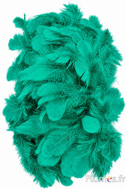 Gallina - 5-9 cm - giada